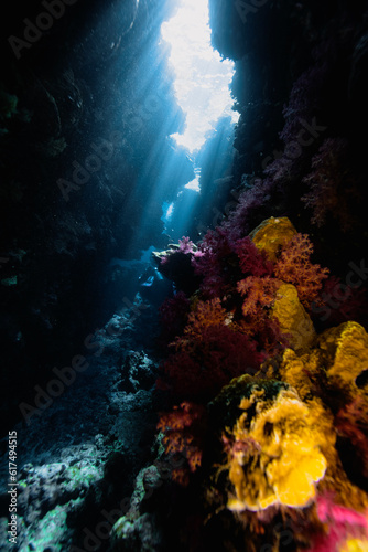 Fototapeta Naklejka Na Ścianę i Meble -  Beautiful colored coral reefs and cave in Egypt.