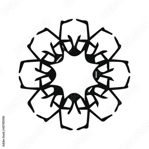 hand drawing symmetry mandala and symmetry flower, complex circle
