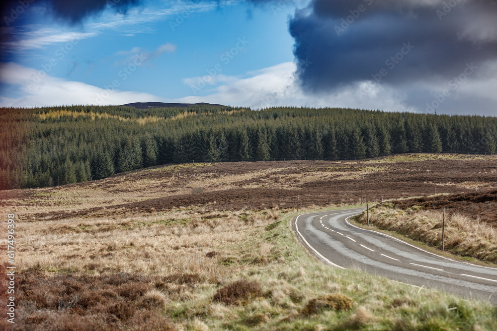 Road through Scottish landscape in summer