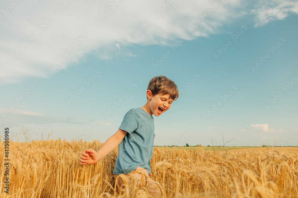 Little boy in blue shirt in yellow wheat field in summer time Little boy in blue shirt in yellow wheat field in summer time