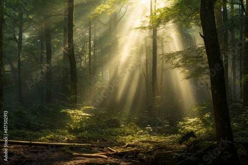 Sunrays Breaking Through Dark Forest: A dark, dense forest with beams of sunlight breaking through the canopy. Generative AI