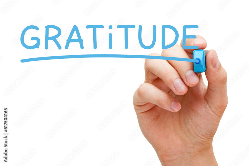 Hand writing Gratitude with blue marker on transparent wipe board. Hand writing Gratitude with blue marker on transparent wipe board.