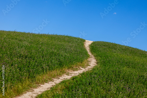 A beautiful empty footpath through a sunny countryside meadow and a blue sky background.