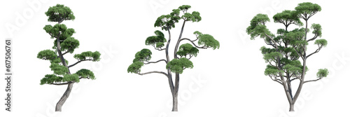 set of green trees isolated on transparent or white background