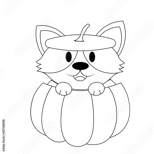 Cute Corgi in costume pumpkin in black and white