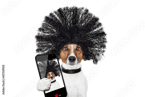 bad hair day dog ready to look beautiful at the wellness spa salon, isolated on white background, taking selfie with smartphone or tablet © Designpics