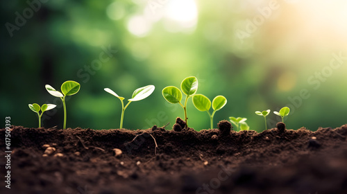 Growth Trees concept Coffee bean seedlings nature background Beautiful green and copy space for text Generative AI