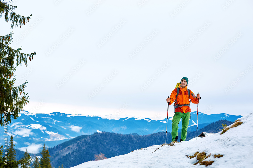 hiker with backpack on the trail in the Carpathians mountains at winter. man standing near large spruce leaning on trekking pole. the weather is overcast, distant bluish mountains in the background. T