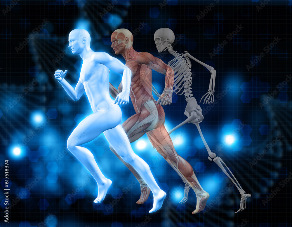 3D medical background with male figures in running pose with muscle map and skeleton