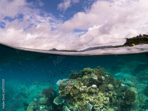 Fototapeta Naklejka Na Ścianę i Meble -  Clear turquoise water, vibrant coral reef, colorful fishes, Kioa Island, tropical paradise in Fiji.