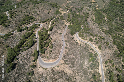 overhead photo of a road through a pine forest  it is a mountain area with trees and bushes