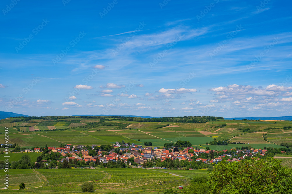 Naklejka premium Hike through the vineyards around the Wißberg in Rheinhessen - Germany