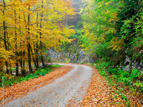 Autumn colours in Triglav National Park  Slovenja  Europe