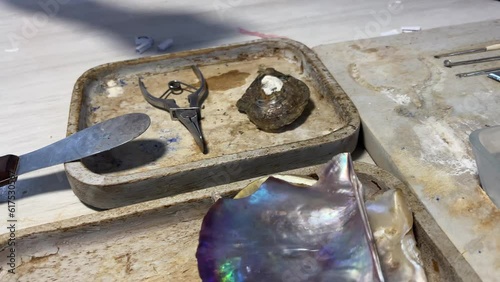 Preparation of the cultivation of natural pearls with its tray, scissors, spatula and cardboard to make the pearl in a natural way.