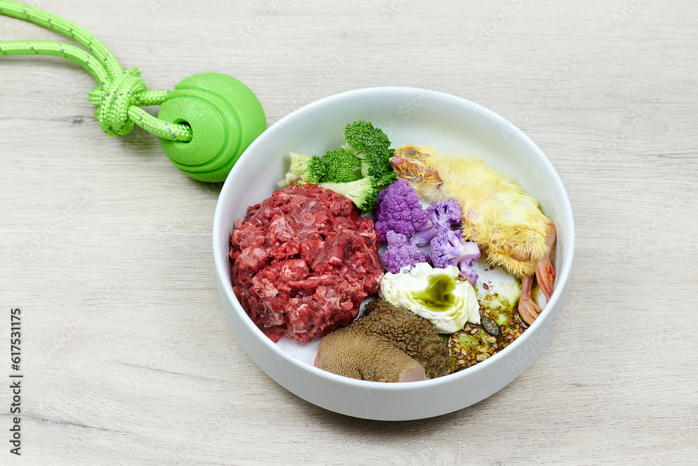 Dog food. Raw meat, chicken, tripe, cauliflower, seeds in white bowl on grey background with green toy ball Dog food. Raw meat, chicken, tripe, cauliflower, seeds in white bowl on grey background with green toy ball