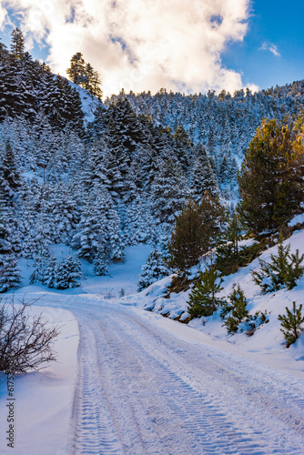 Snow road at Ziria mountain with fir trees covered with snow on a winter day, Korinthia, South Peloponnese, Greece. Ziria is one of the snowiest mountains in Peloponnese (2,374m). photo