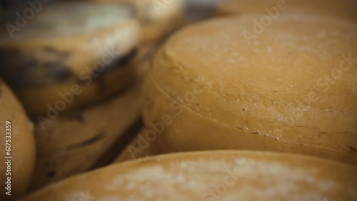 Manufacture of cheese. Cheese Factory.