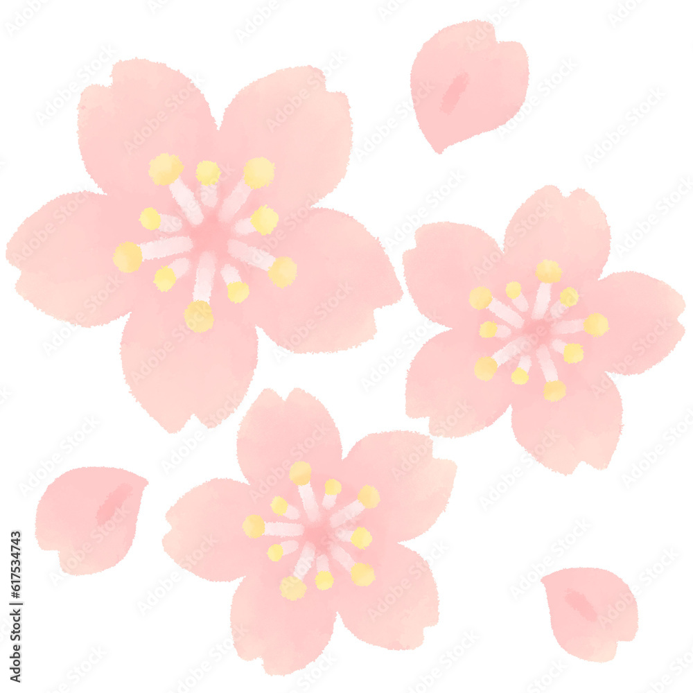 Cherry blossom hand drawn. Cherry blossom hand drawn.