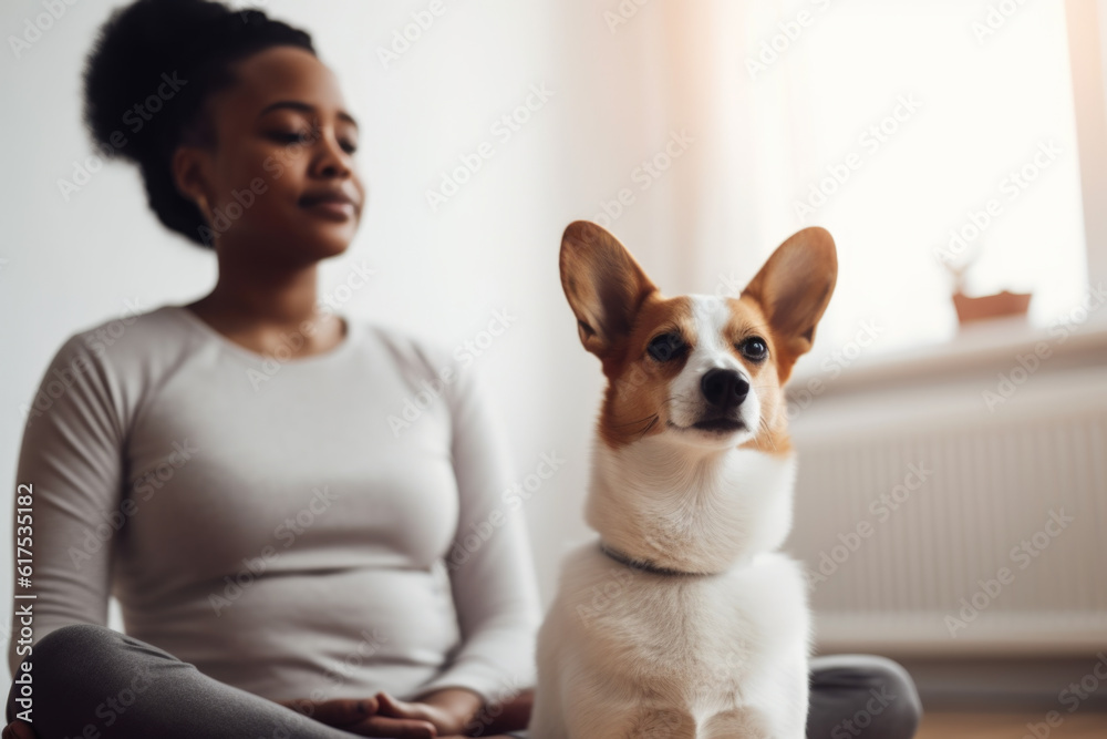 Young black woman practice yoga in her living room with her dog welsh corgi