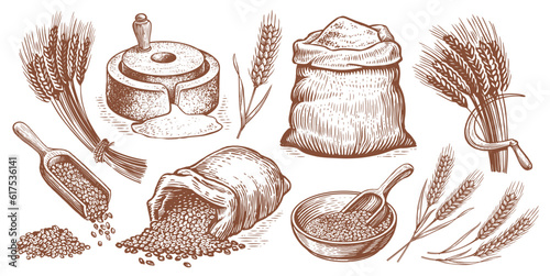 Farm wheat concept. bakery vector illustration set. Baking bread, food collection