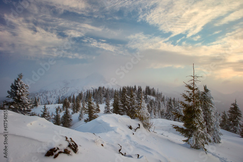 Carpathian mountains in winter, sunrise and sunset, trees covered with white snow, dramatic sky