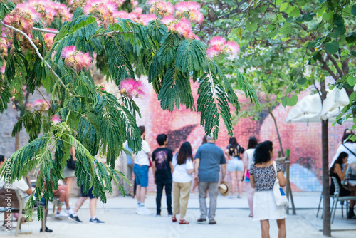 Photography Whispers of Romance: The Barcelona Kissing Wall Embraced by Blooming Floral Sple