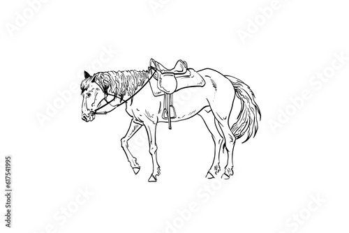 Horse are grazing in a meadow. Rural landscape hand drawn vector illustration.