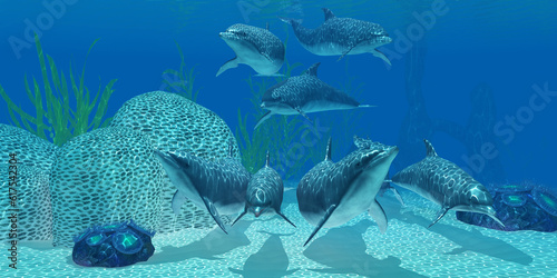 Fototapeta Naklejka Na Ścianę i Meble -  A pod of Bottlenose dolphins look for their next meal on a coral reef in clear tropical ocean waters.