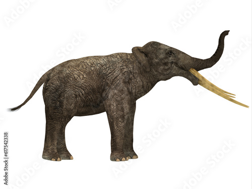 Stegotetrabelodon was an elephant that lived in the Miocene and Pliocene Periods of Africa and Eurasia.