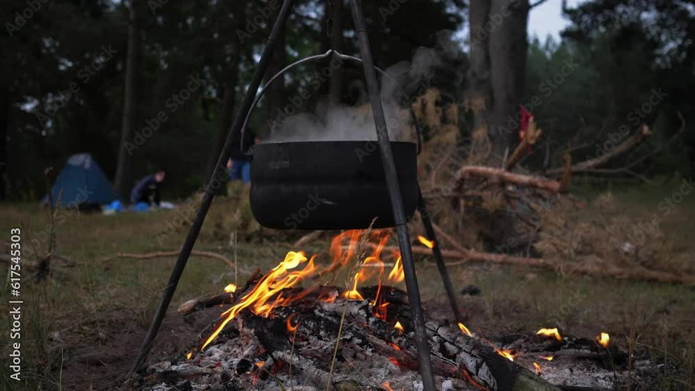 cooking on a campfire in the forest in the evening 4k cooking on a campfire in the forest in the evening 4k
