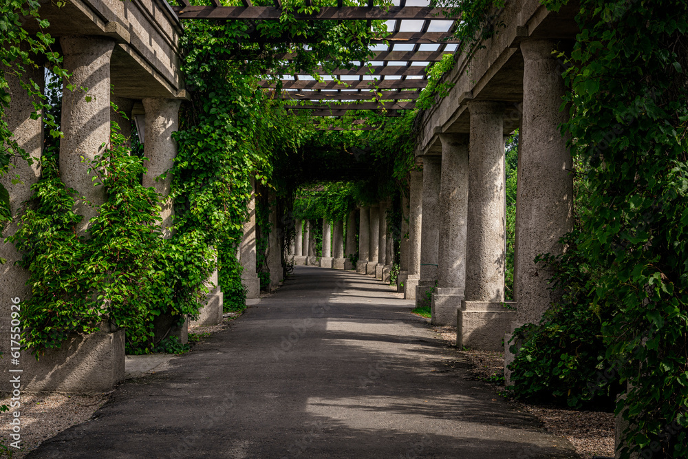 Green, plant pergola with overgrown pillars in Wroclaw, Poland
