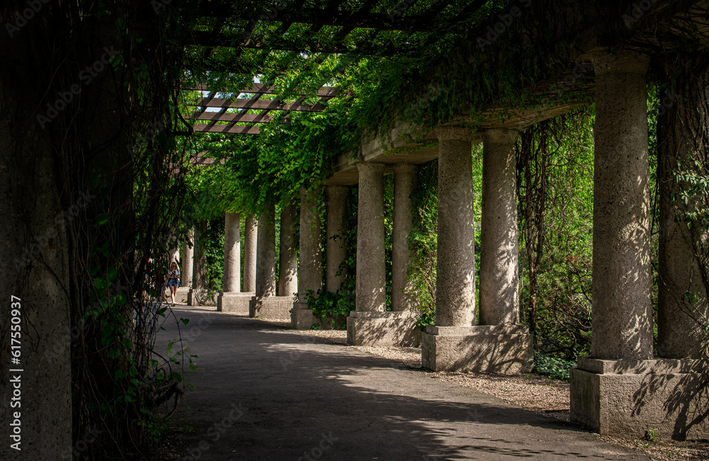 Green, plant pergola with overgrown pillars in Wroclaw, Poland Green, plant pergola with overgrown pillars in Wroclaw, Poland