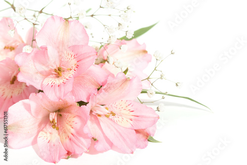 small bouquet of alstroemeria with gypsophila on a white background with space for text on the right