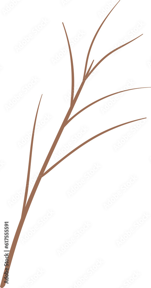 Obraz premium tree branch 5
