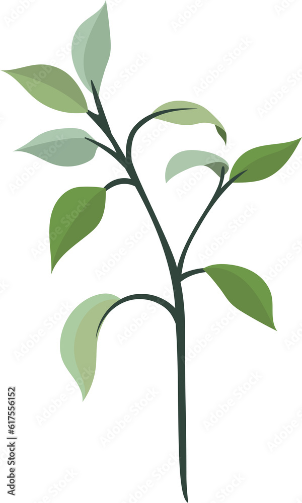 plant leaves 155