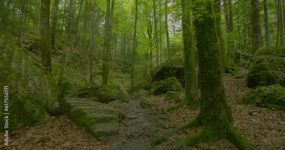 Stone Cave Rocks in Green Moss Covered Forest Landscape Stone Cave Rocks in Green Moss Covered Forest Landscape