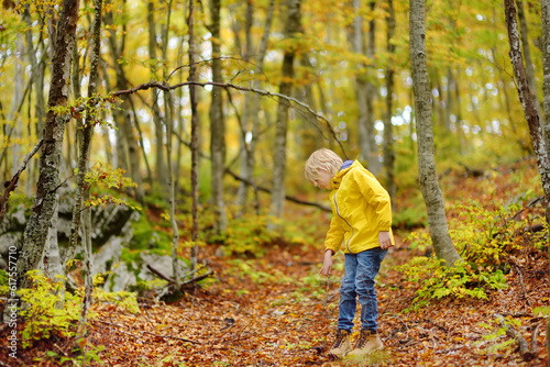 Vászonkép Elementary school boy walks forest in Lovcen National Park, Montenegro on an autumn day