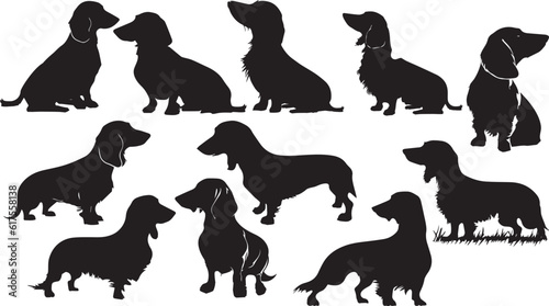 Set dog silhouettes vector image,Dachshund dog pet photo