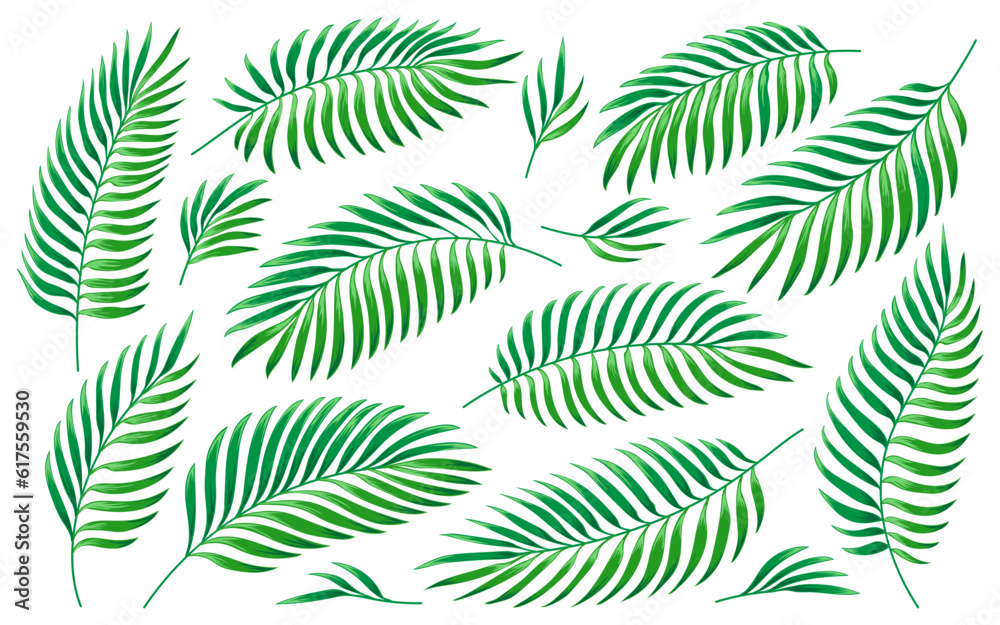 Tropical palm leaves. Jungle green foliage set isolated on white background. Exotic nature plant leaf for wedding greeting cards, fashion, DIY wrappers. Hand drawn tropic summer floral elements