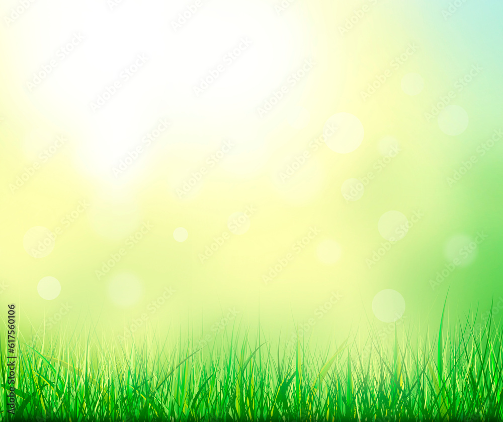 Abstract summer natural background. Grass in the background of sunlight.