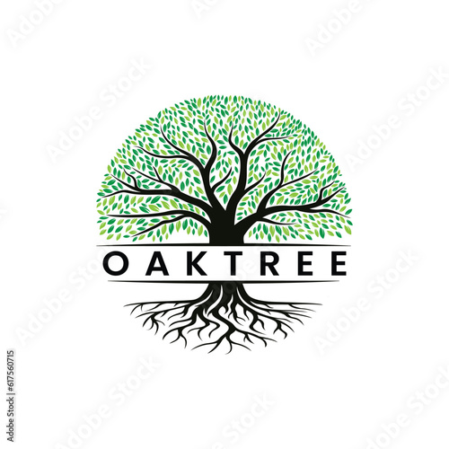 Oak Logo. Root Of The Tree illustration. Vector silhouette of a tree.