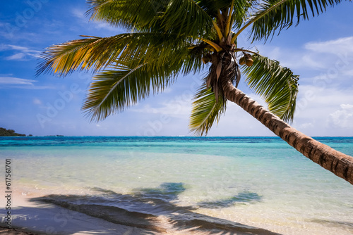 Fototapeta Naklejka Na Ścianę i Meble -  Paradise tropical beach and lagoon in Moorea Island. French Polynesia