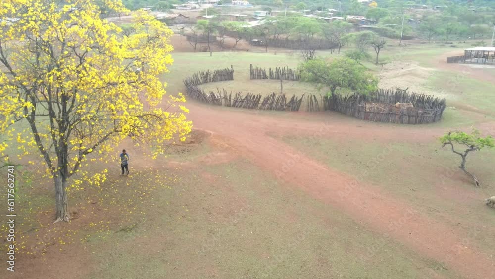 The best of Peru: Cerro Amotape in Tumbes - Tumbes