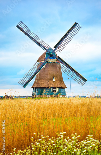Old Dutch mill with yellow wheat at blue white cloud Netherlands summery landscape.