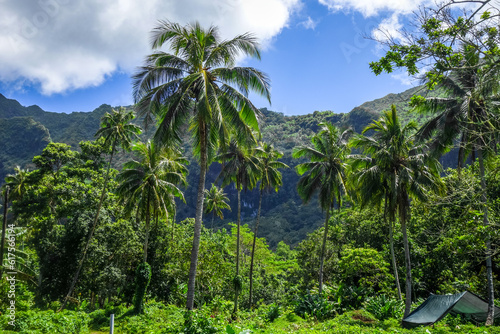 Moorea island jungle and mountains landscape view. French Polynesia