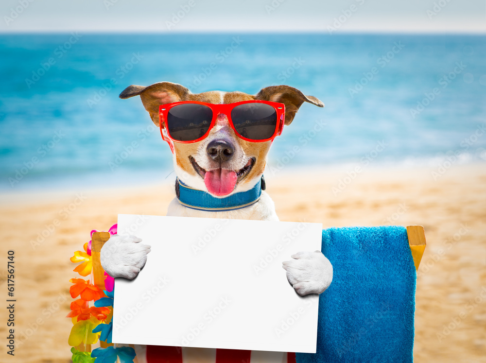 jack russel dog resting and relaxing on a hammock or beach chair under ...