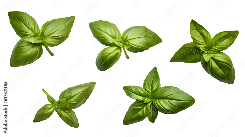A selection of radiant, fresh herbs carefully isolated on a clear background, amplifying their natural aesthetics. Fresh herbs isolated on a transparent background. Generative AI.