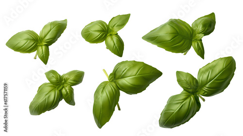 A medley of fresh, lively herbs meticulously set apart on a transparent background, emphasizing their inherent attractiveness. Generative AI.