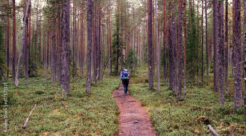 Hiking through Oulanka national park in Finland