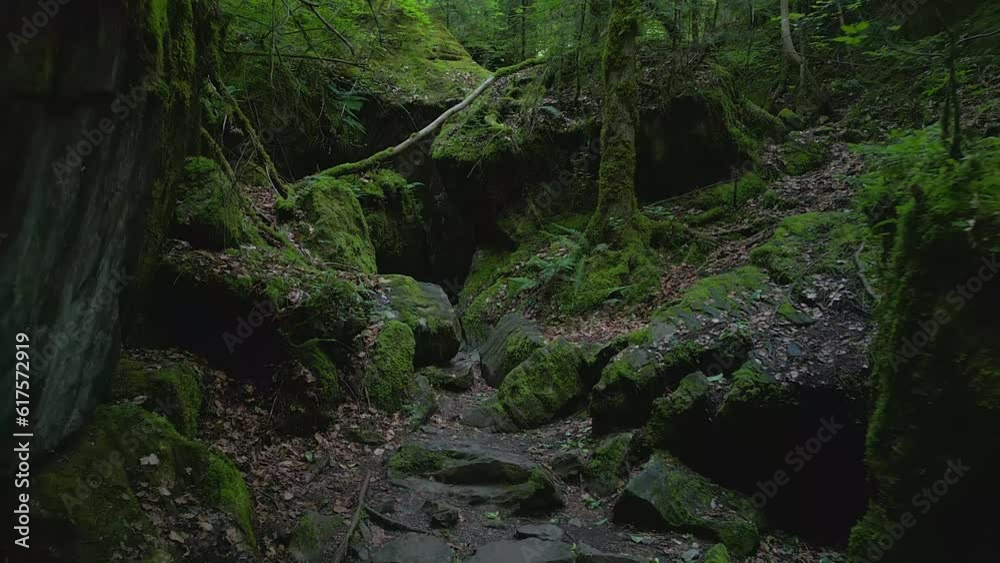 Stone Cave Rocks in Green Moss Covered Forest Landscape Stone Cave Rocks in Green Moss Covered Forest Landscape